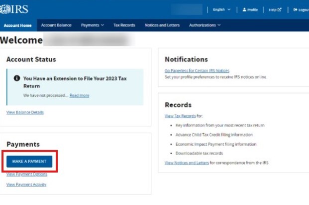 IRS Payments Blog Page Image 3